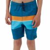 * O'Neill Boys' Hermosa Block Ew Board Shorts (Big Kid) | Boys'