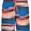 * Under Armour Boys' Ua Serenity Stripe Volley Shorts (Little Kid) | Boys'