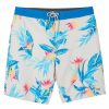 * O'Neill Boys' Tropicali Cruzer Board Shorts (Big Kid) | Boys'