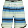 * Wavebreaker Men'S Stripe Swim Trunks | Men'S